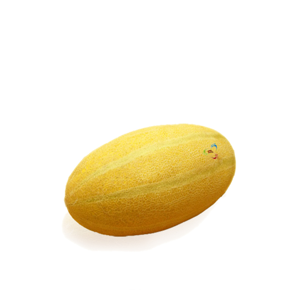 خربزه مشهد