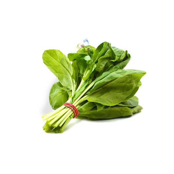 اسفناج