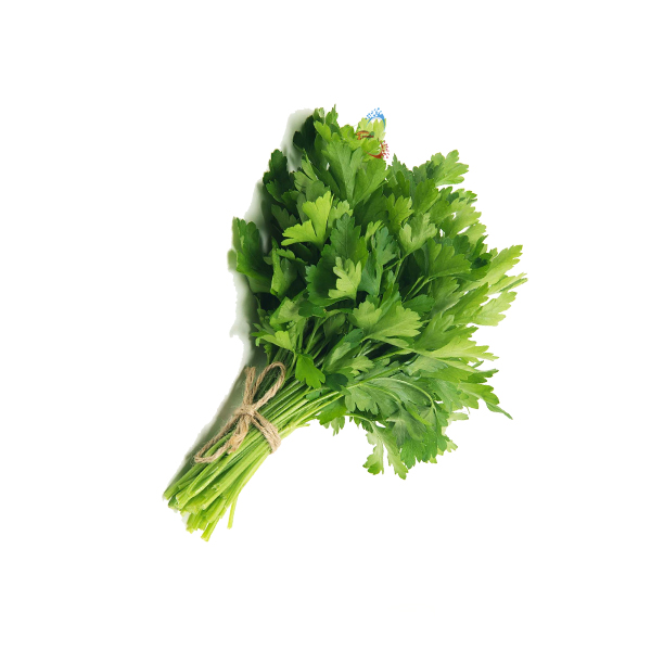 جعفری