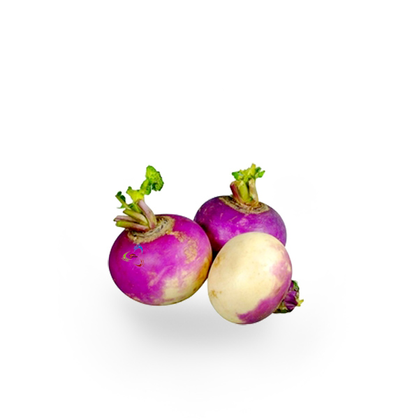 شلغم نیشابور