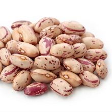 چیتی ایرانی