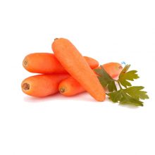 هویج نیشابور