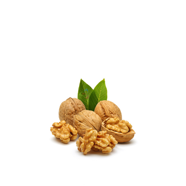 گردو اسرائیلی