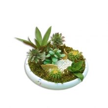 باغ گل مینیاتوری