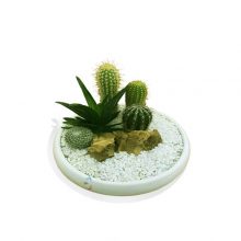 دیش گل میکس