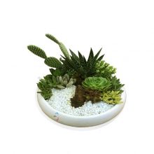 دیش گاردن نیشابور