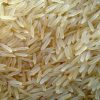 انواع برنج هندی